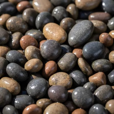 Imagen PNG para descargar